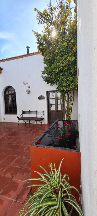 ホテル San Felipe El Real チワワ エクステリア 写真